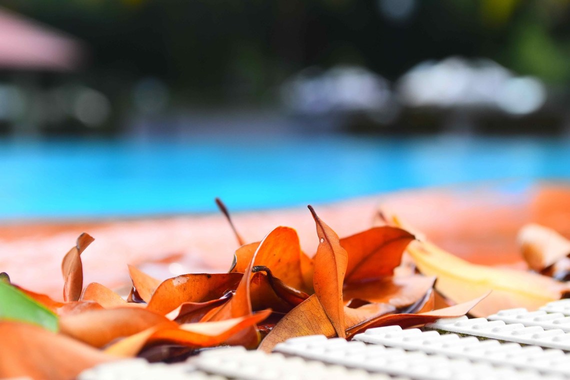 Swimming-Pool-2461422_1280