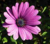 All about DivorpoHoteca