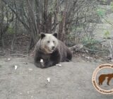 Carmistin | Freedom our friends who commit themselves