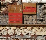 How to build a hotel for insects?