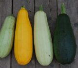 How to cook courgettes?