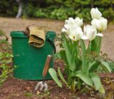 How to keep it away from your garden?