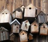 How to make a bird's nursery box?