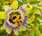 How to make a tricky cut?