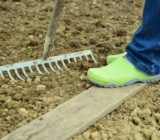 How to reflect an orchid?