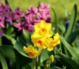 Interview and culture