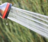 What are the natural anti-puberts?