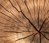 What is a break for?